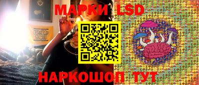 гидра Апшеронск