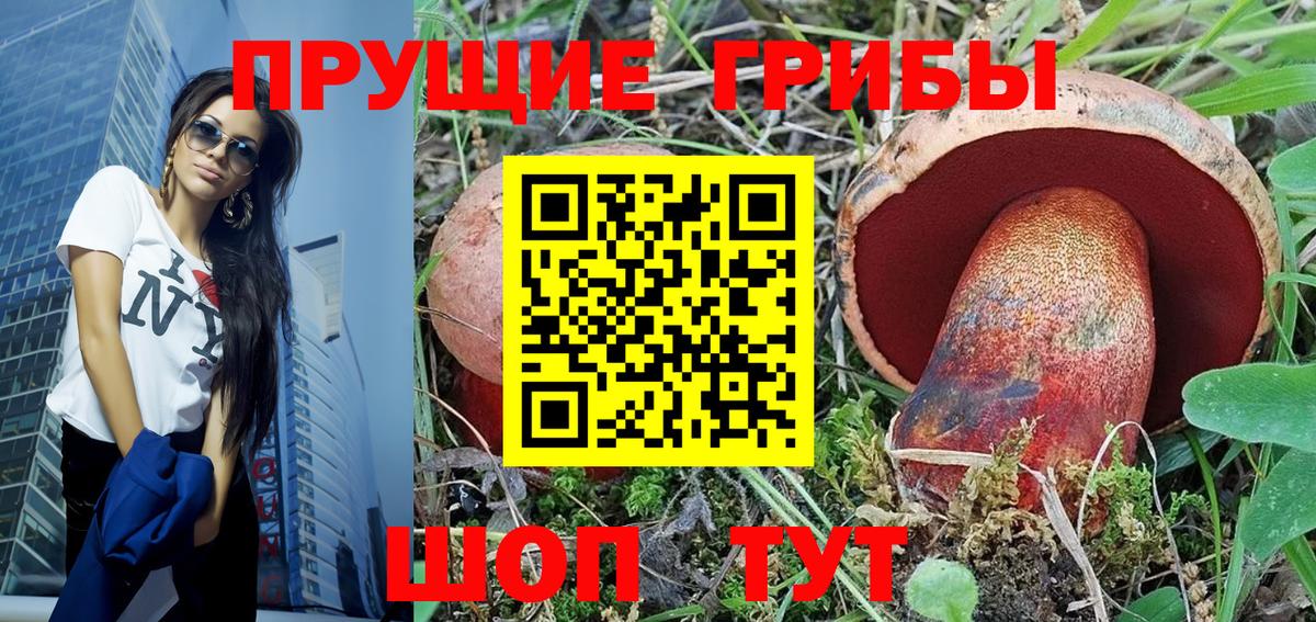 Бердск  Галлюциногенные грибы Cubensis  Вход с VPN 